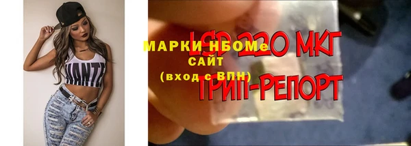 винт Балахна