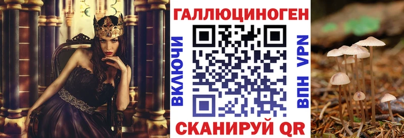 Псилоцибиновые грибы мицелий  где найти   Белинский 